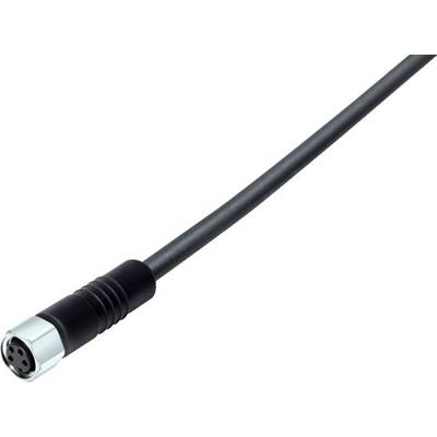 'Ein schwarzes Kabel mit einem runden Metallstecker am Ende.'