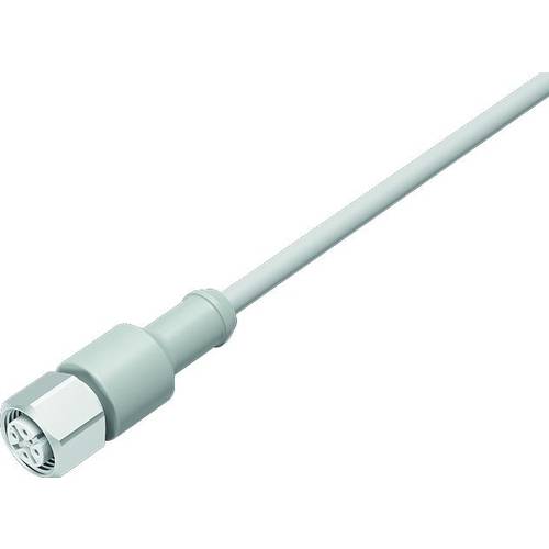 Thumbnail - binder 77 3730 0000 40908-1000-20 Sensor-/Aktor-Steckverbinder, konfektioniert Buchse, gerade 10 m Polzahl Sensoren: 8 1...