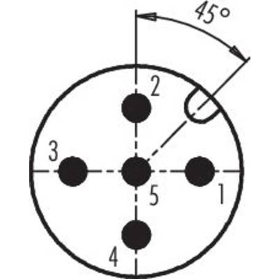 Schematische Darstellung eines 5-poligen Steckverbinders mit nummerierten Kontakten und einem 45-Grad-Winkel zur Orientierung.