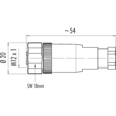 Technische Zeichnung eines zylindrischen Steckers mit Maßen: Durchmesser 20 mm, Länge ca. 54 mm, Gewinde M12 x 1, Schlüsselweite 18 mm.