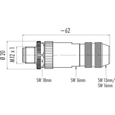 Technische Zeichnung eines Steckers, Länge ca. 62 mm, Durchmesser 20 mm, Gewinde M12 x 1. Schlüsselweiten: 18 mm, 16 mm, 13 mm.