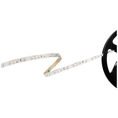 Ein aufgerolltes LED-Lichtband mit mehreren LEDs auf transparentem Hintergrund, bereit zur Installation.