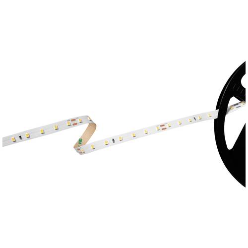 Thumbnail - Barthelme Basic 70 51541234 LED-Streifen EEK: E (A - G) mit offenem Kabelende 24 V 5 m Kaltweiß 1 St.