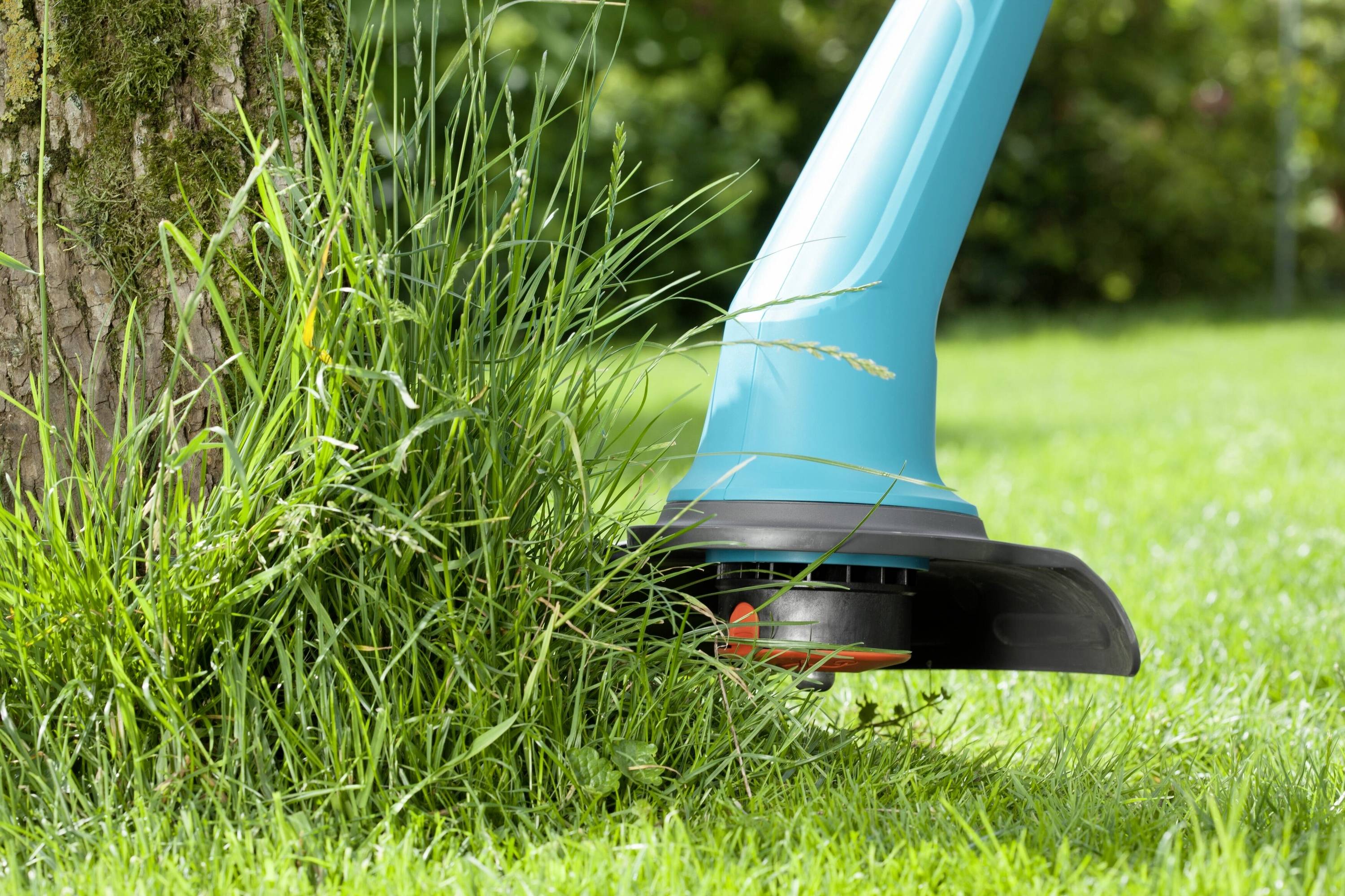 Eine blaue elektrische Rasentrimmer schneidet hohes Gras um einen Baum herum im Garten.