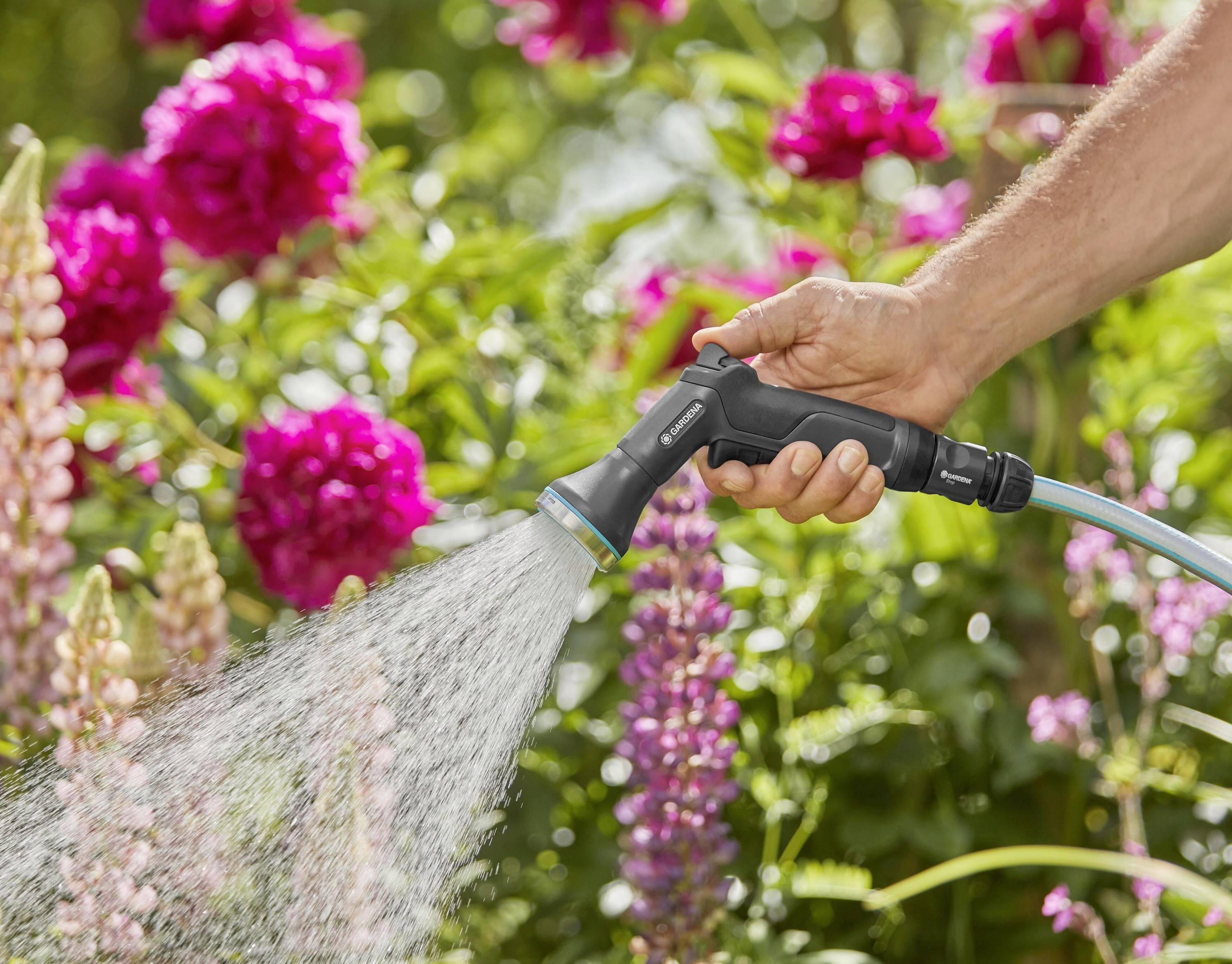 Eine Hand gießt mit einem Schlauch bunte Blumen im Garten. Im Hintergrund sind pinke und lila Blüten zu sehen.