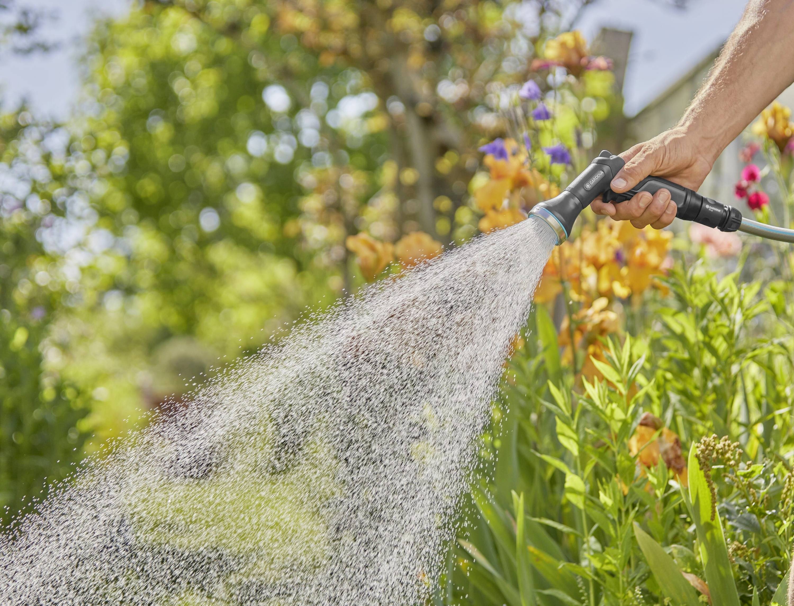 Eine Hand hält einen Gartenschlauch und bewässert Blumen in einem sonnigen Garten. Bunte Blumen blühen im Hintergrund.