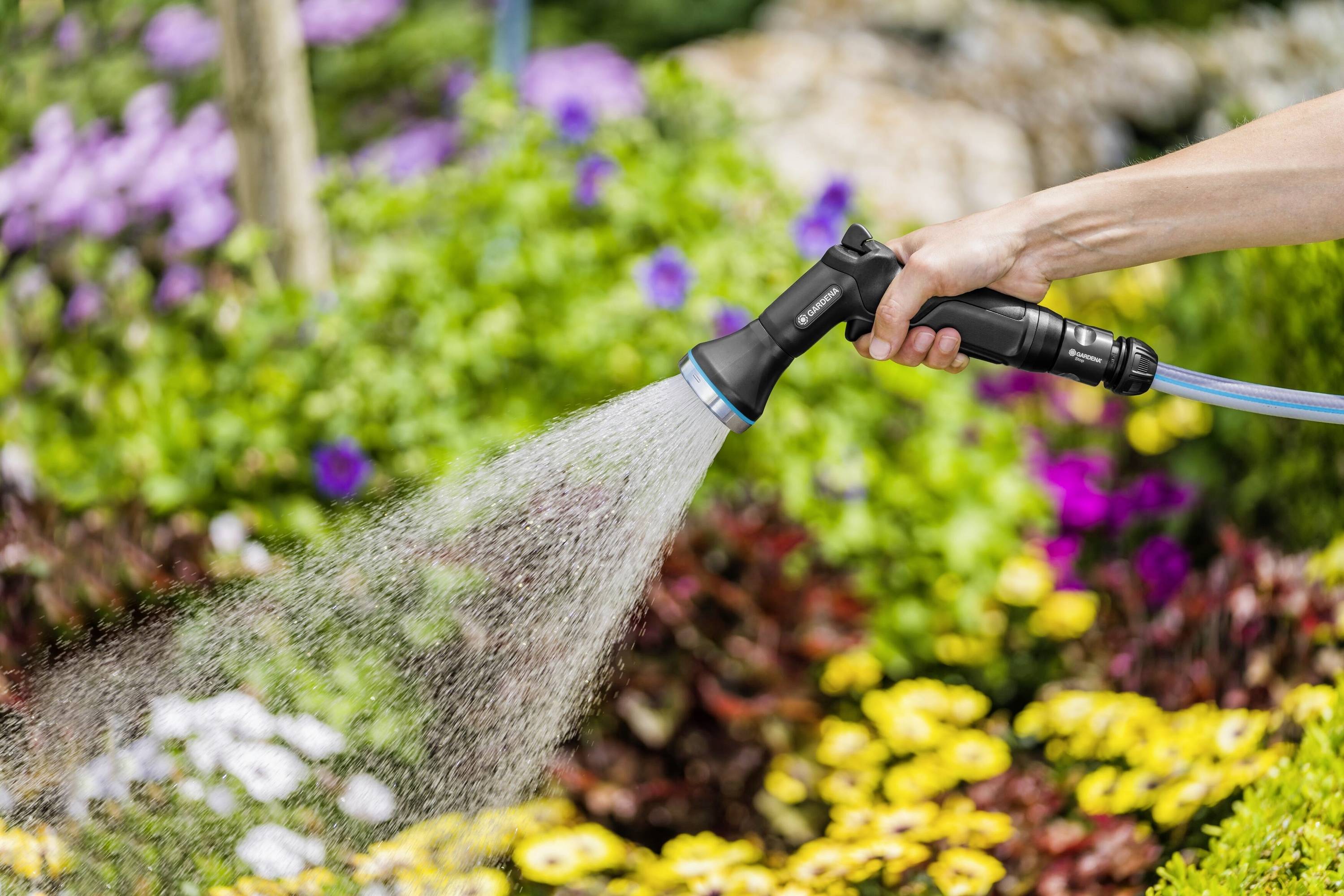 Eine Hand hält einen Gartenschlauch und bewässert bunte Blumen in einem Garten. Im Hintergrund sind unscharf violette Blumen zu sehen.