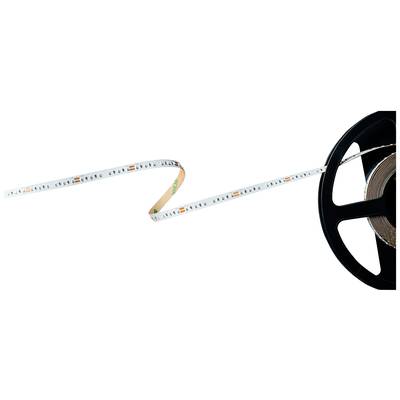 Eine abgerollte LED-Lichtleiste auf einer schwarzen Spule. Die Leiste zeigt kleine, gleichmäßig verteilte LED-Lämpchen.