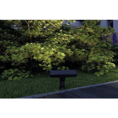 Eine kleine, schwarze Gartenleuchte steht auf einem Rasen vor einem dichten, grünen Busch. Im Hintergrund sind Pflanzen sichtbar.