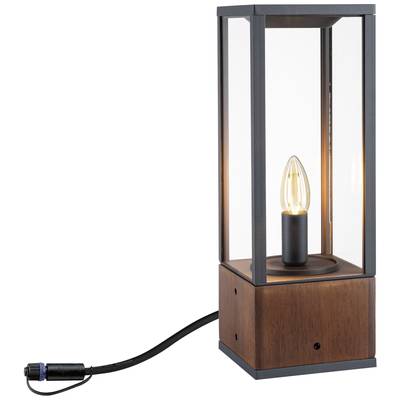 Holz LED-Gartenstrahler Beleuchtungssystem Paulmann W 94673 Lichtobjekt Plug kaufen Shine LED Warmweiß Venea 2 &