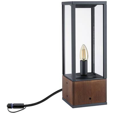 kaufen Venea Holz Shine & Warmweiß LED Beleuchtungssystem Lichtobjekt Plug 2 LED-Gartenstrahler 94673 W Paulmann