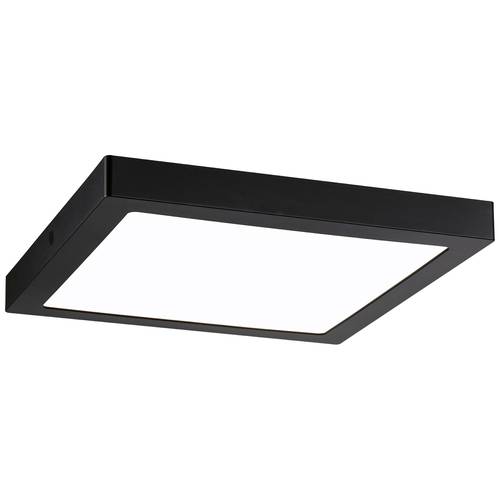 Paulmann 71026 Abia LED-Deckenleuchte 22 W Schwarz
