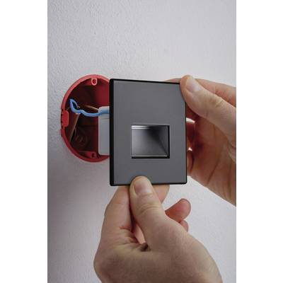 Eine Hand installiert eine graue Steckdosenabdeckung auf einer runden, roten Unterputzdose mit sichtbaren blauen Drähten in der Wand.