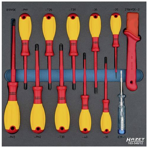 Hazet 163-546/12 Schraubendreher-Set