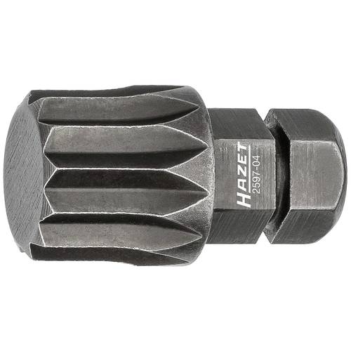 Hazet 2597-04 Vielzahn-Bit M12 C 8 1 St.