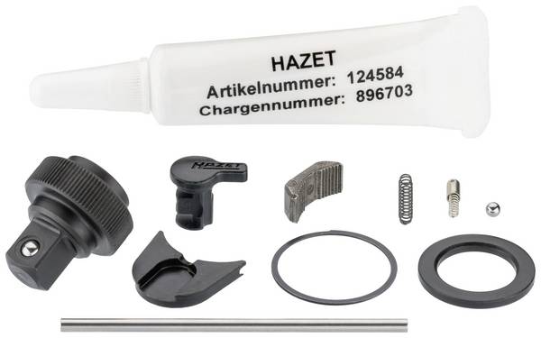 Hazet 863HP/11 863HP/11 Ersatzteilsatz 6.3 mm    1 St.