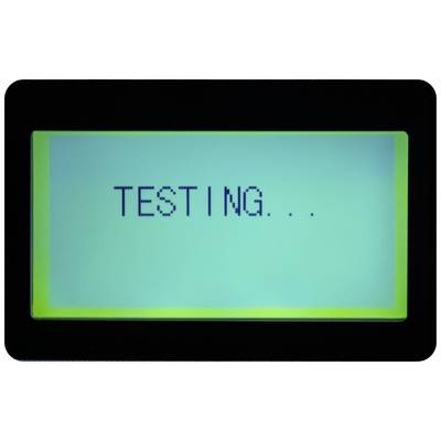 Display mit dem Text 'TESTING...', möglicherweise an einem elektronischen Gerät während einer Diagnosesequenz.