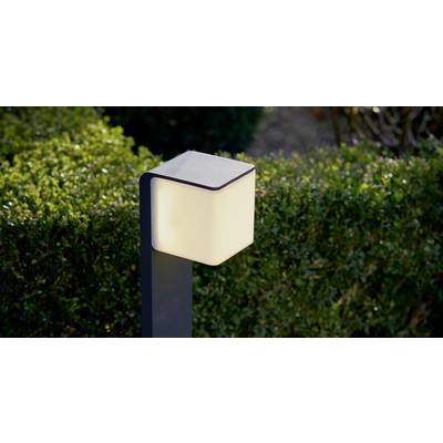 Eine moderne Gartenlampe mit quadratischem, leuchtendem Kopf steht vor einer dichten Hecke. Sie beleuchtet einen Gartenweg.