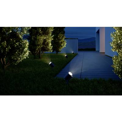 Ein Weg am Haus wird bei Nacht von mehreren kleinen Gartenlichtern erleuchtet. Bäume umrahmen den Weg und sind leicht beleuchtet.