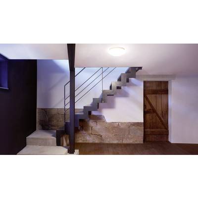 Ein moderner Kellerraum mit Metalltreppe, gemauerter Wand und Holztür. Das Licht von der Decke erhellt den Raum.
