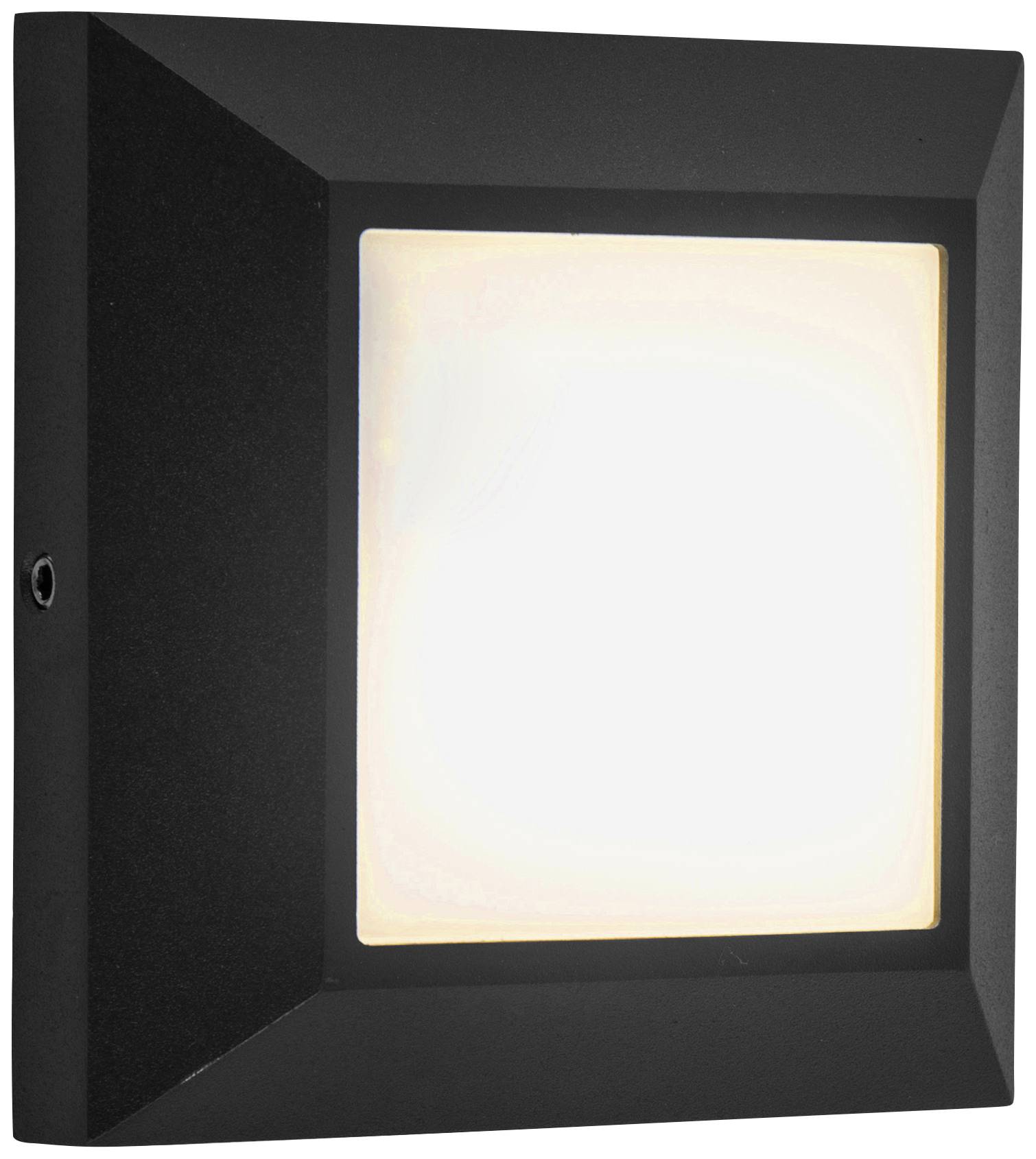 LUTEC HELENA 6402105012 LED-Außenwandleuchte EEK: E (A - G) LED LED 4.5 W Schwarz