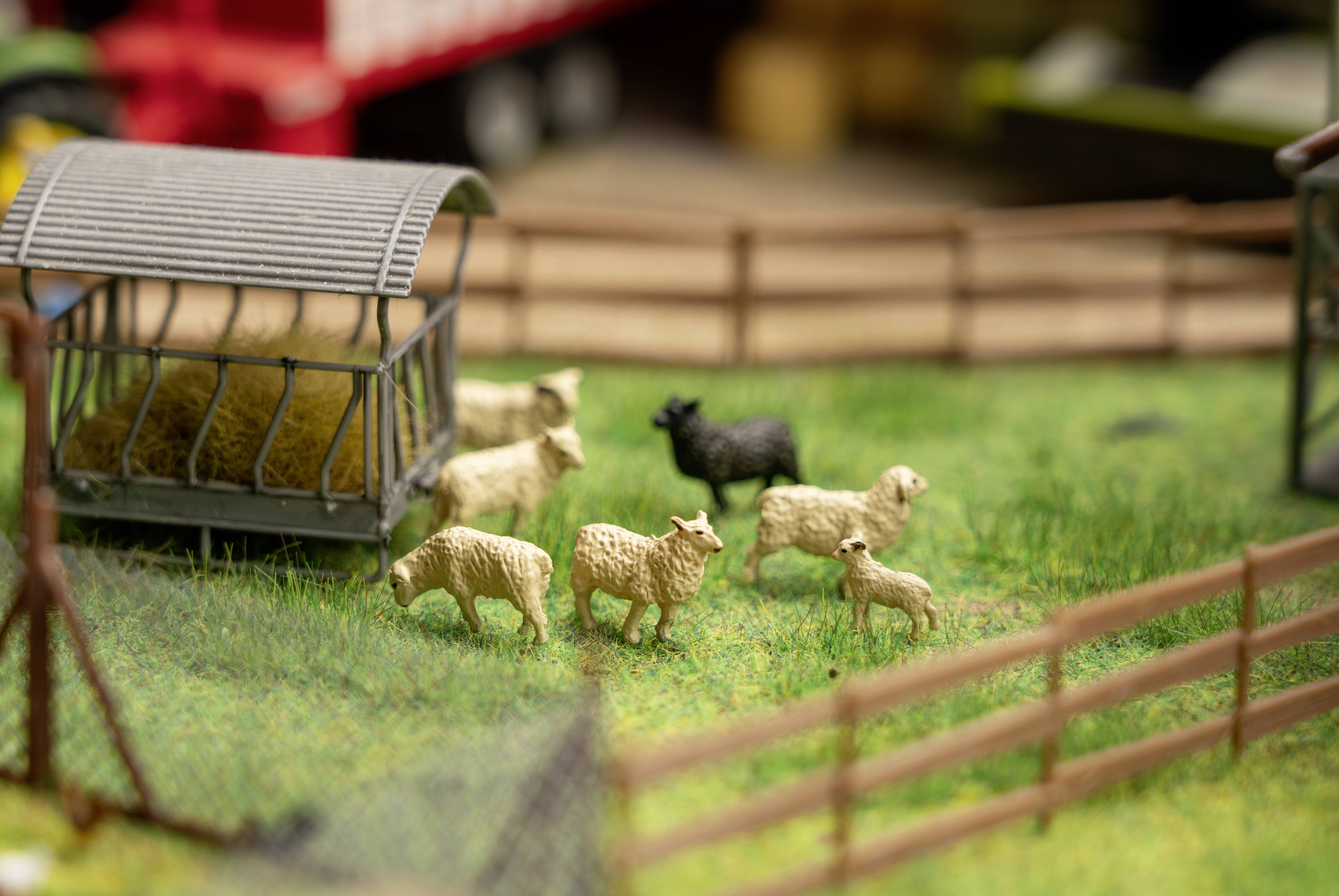 Kleine Schafmodellfiguren stehen auf einer grasbewachsenen Fläche, umgeben von einem Holzzaun. Im Hintergrund ist ein Heuballenunterstand sichtbar.