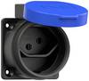 PCE 1313-0bc Anbau-Steckdose IP55 Schwarz/Blau