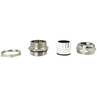 Mehrteilige Metallverschraubung, bestehend aus Mutter, Gewinde, Dichtring und Anschlussstück, auf weißem Hintergrund.