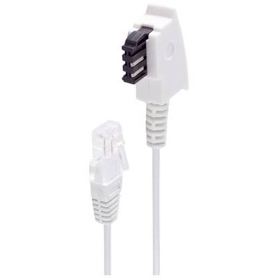 'RJ45' und 'TAE-F' Stecker, weiß, nebeneinander. Verwendet zur Verbindung von Computern oder Telefonen mit Netzwerken.
