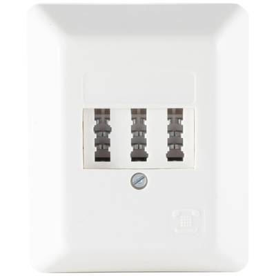 Ein weißes Wandanschlussfeld mit drei Telefonbuchsen und einer Schraube in der Mitte, darunter ein Telefonsymbol.