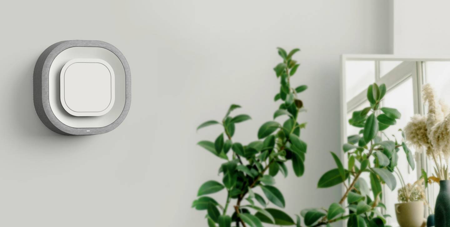 Ein moderner, quadratischer Thermostat an einer hellgrauen Wand. Daneben steht eine Pflanze, die grünes Laub und braune Blumen hat.