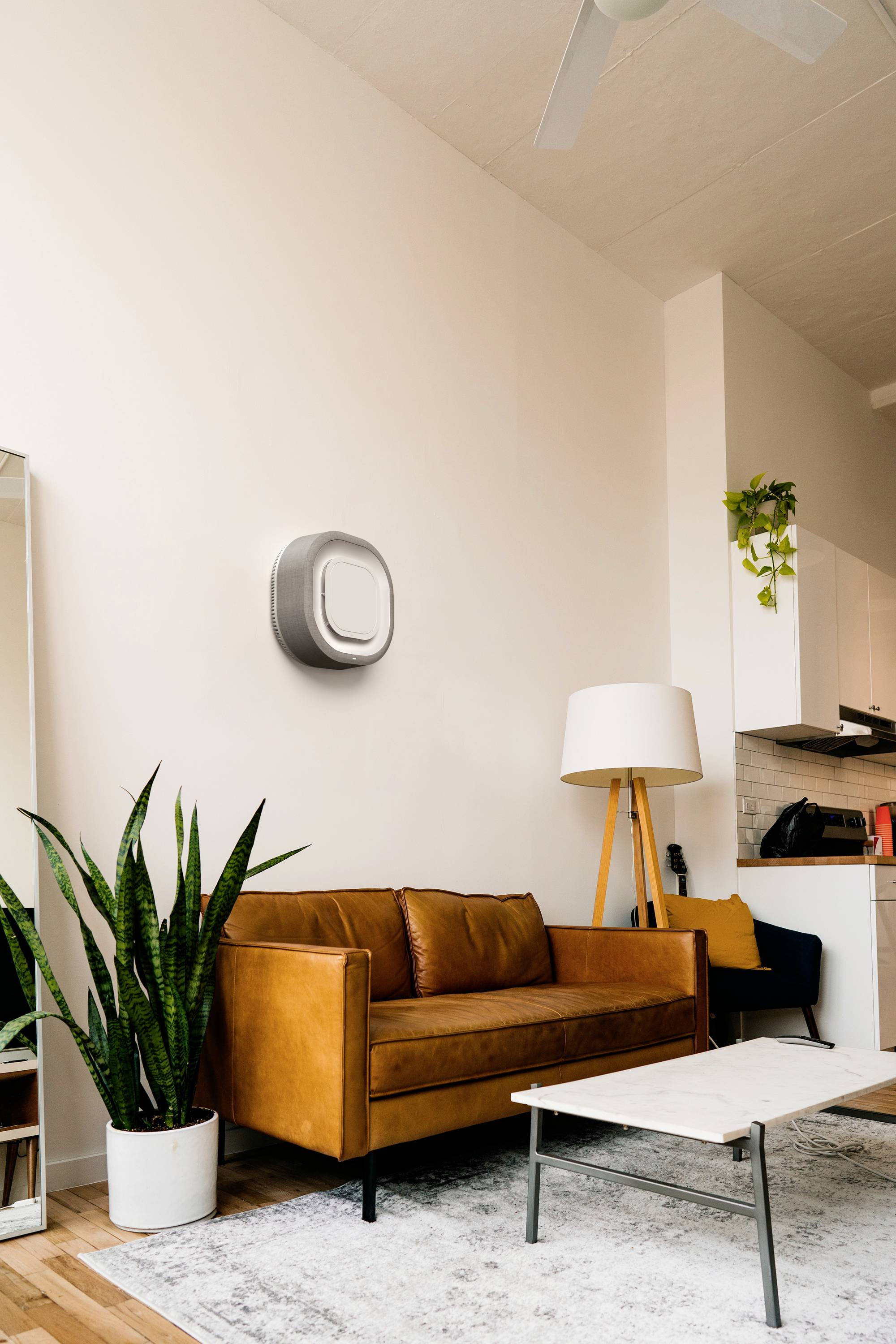 Ein Wohnzimmer mit einem braunen Ledersofa, einem weißen Couchtisch und einer großen Pflanze. An der Wand hängt ein modernes Wandgerät.