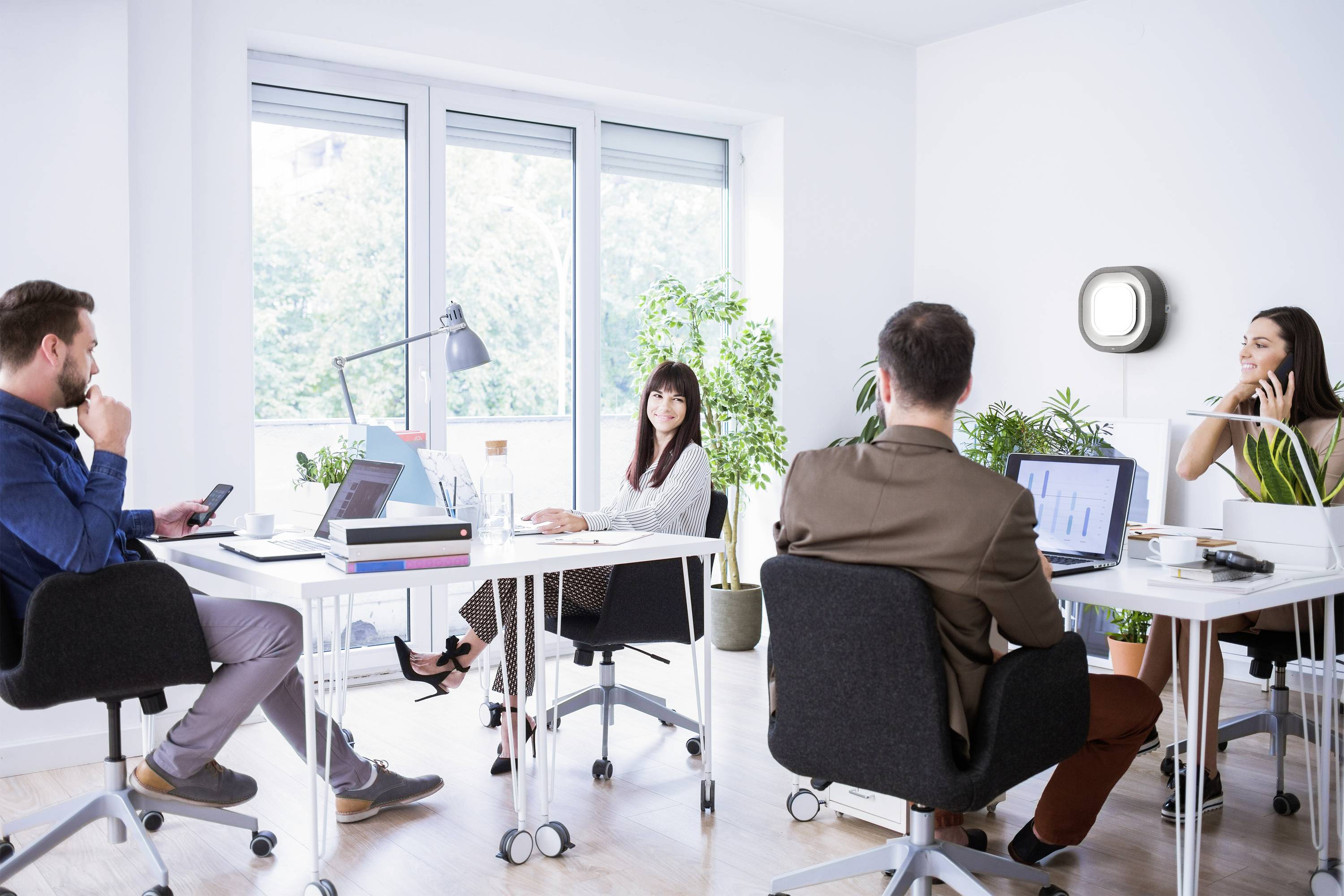 Mehrere Personen arbeiten in einem modernen Büro mit Laptops und Schreibtischen, umgeben von Pflanzen und großen Fenstern.
