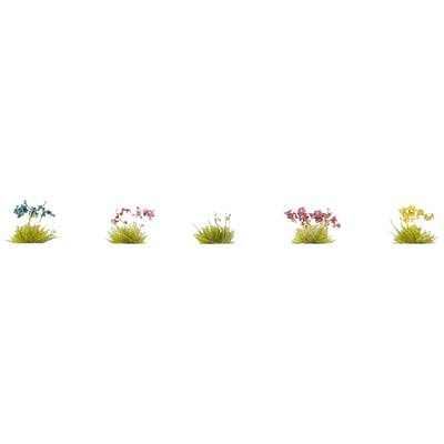 Fünf Orchideenarten in unterschiedlichen Farben (blau, rot, rosa, lila, gelb) in Töpfen nebeneinander aufgereiht.