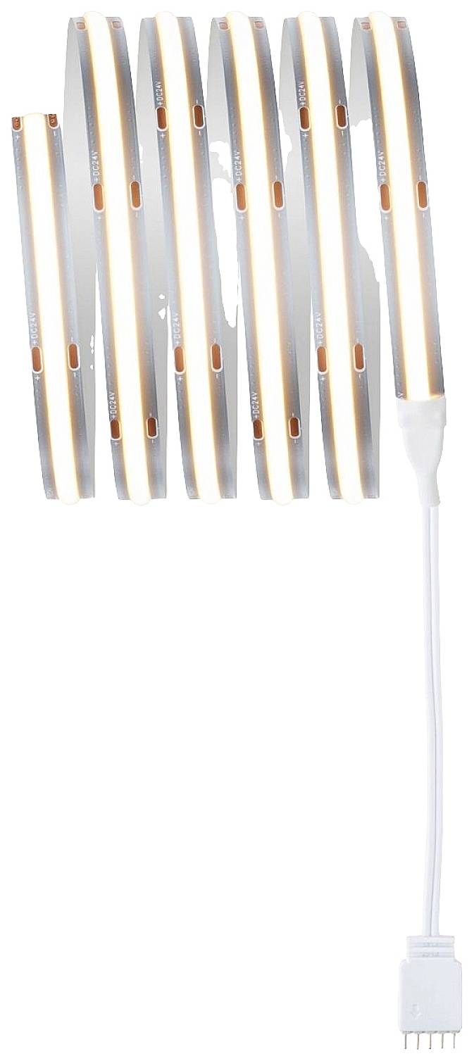 Ein gerollter LED-Lichtstreifen mit einem weißen Anschlussstecker am Ende.