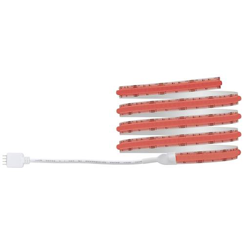 Paulmann 78863 LED-Streifen-Basisset mit Stecker 230 V 1.5 m RGB 1 Set
