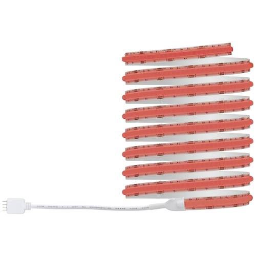Paulmann 78864 LED-Streifen-Basisset mit Stecker 230 V 3 m RGB 1 Set