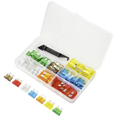 Eine geöffnete Plastikbox mit verschiedenen farbigen Auto-Sicherungen in Fächern, daneben ein Sicherungsspezialwerkzeug.