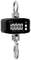 Digitale Kranwaage mit Haken, Display zeigt '10000 kg'. Geeignet zur Gewichtsmessung großer Lasten.