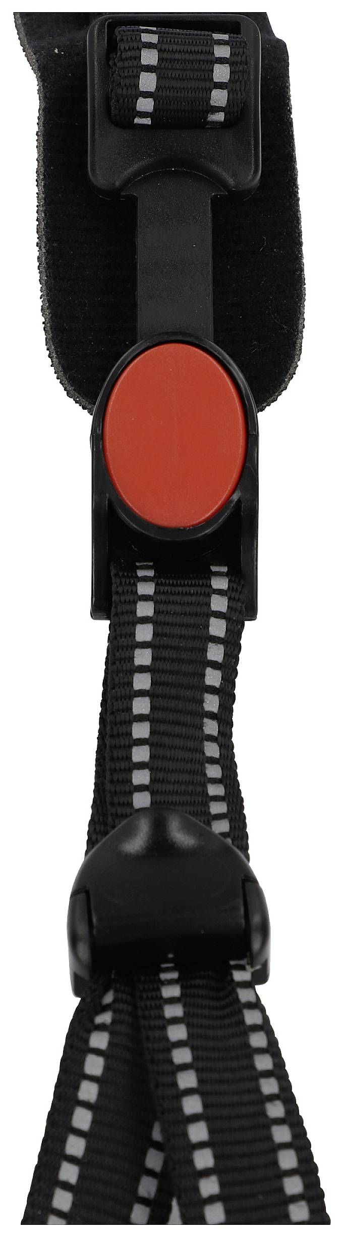 Schwarzer Nylon-Gurt mit weißer Naht und schwarzer Kunststoffschnalle. Roter ovaler Druckknopf in der Mitte der Schnalle.