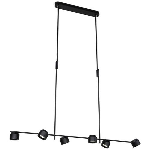 Paulmann Pane 79783 LED-Pendelleuchte 36 W Schwarz