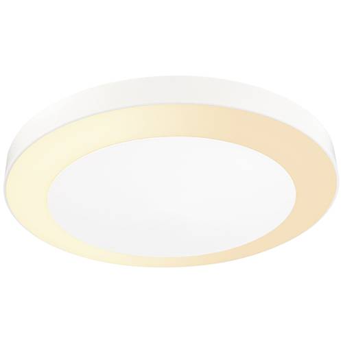 Paulmann Circula 94527 LED-Außendeckenleuchte 14 W Weiß