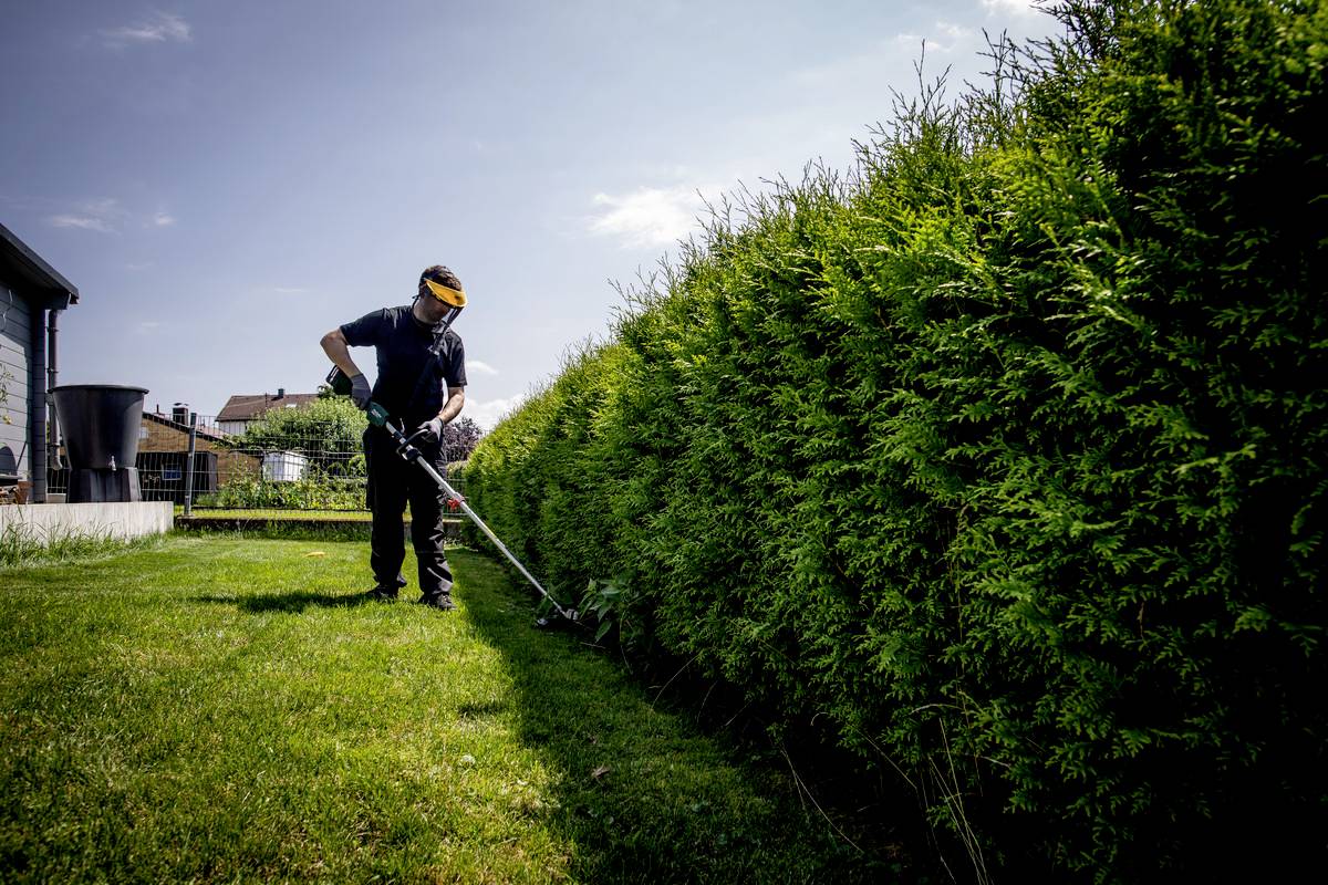 Ein Gärtner trimmt eine grüne Hecke mit einem elektrischen Trimmer an einem sonnigen Tag. Die Umgebung ist ein gepflegter Garten.