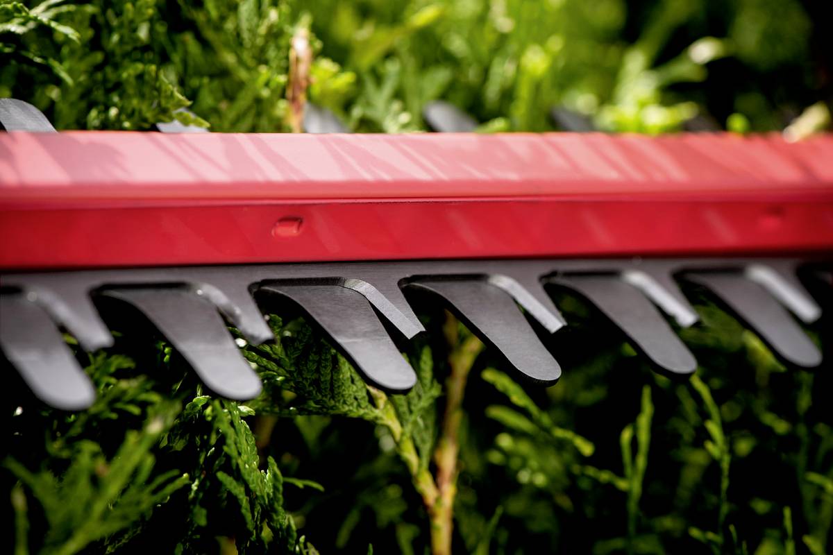 Eine rote Heckenschere schneidet grünes Laub einer Hecke. Die schwarzen Zähne der Schere sind deutlich sichtbar.