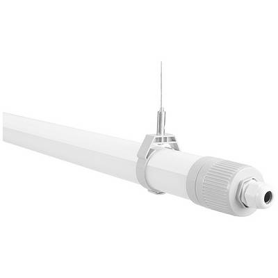 Eine hängende, zylindrische LED-Leuchte mit weißem Gehäuse und silbernem Aufhängungselement. Ideal für Deckenmontage in Büros.