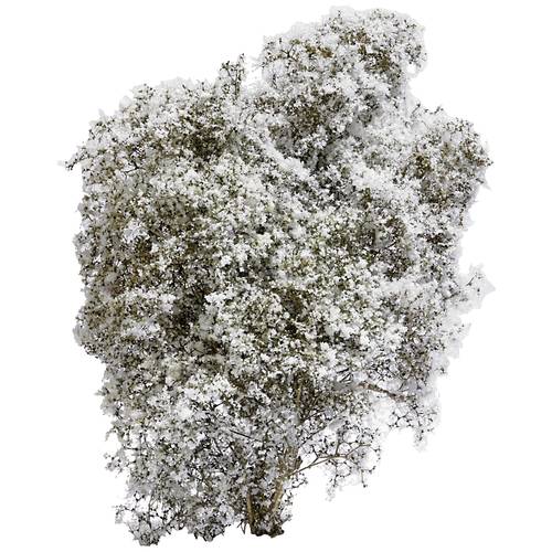 Busch 3585 Busch Frühling Weiß, Blühend