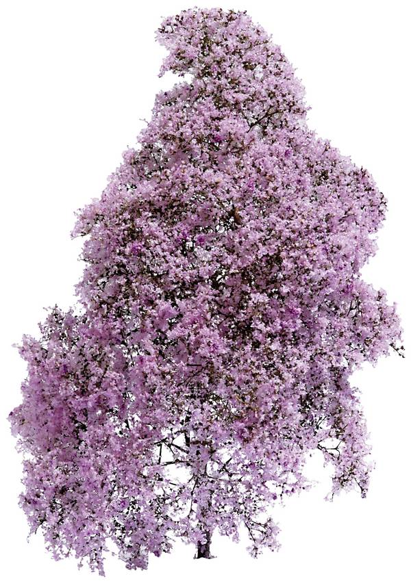 Busch 3587 Busch Frühling  Lila, Blühend