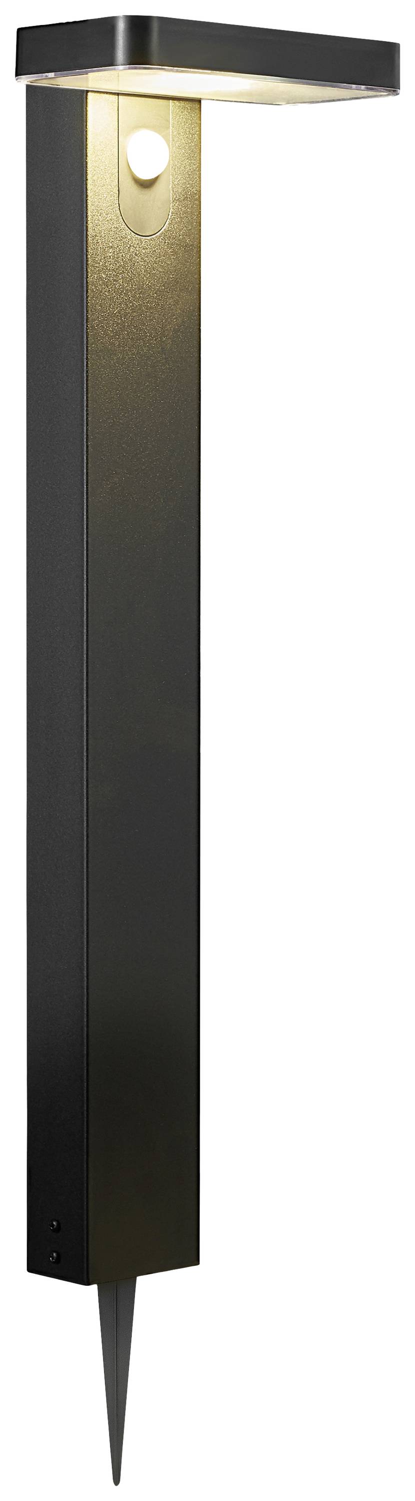 Moderne schwarze Gartenleuchte mit schmalem, langen Design und spitzem Anker für Bodenmontage, leuchtet nach unten.