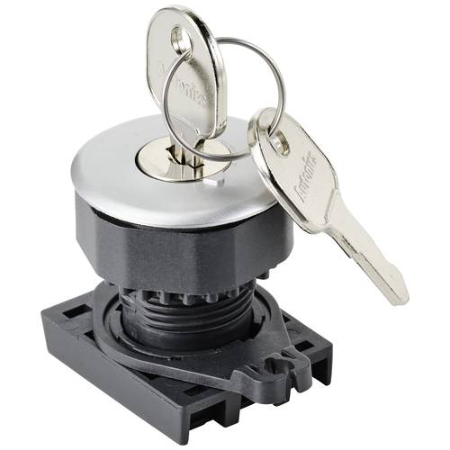 TRU COMPONENTS TC-10343996 S3KF-2FS Schlüsselschalter-Frontelement Schlüssel Silber 1 x 90 ° 1 St.