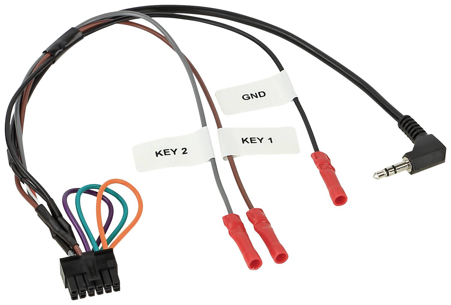 ACV Multilead LFB + Infodapter